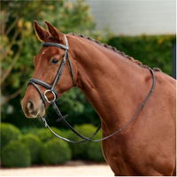 Bridle Rembourré Flash